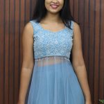 Handworked Net Party Wear Gown with Designer Embroidered Bodice
