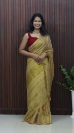 Golden Glow Tissue Mul Cotton Saree