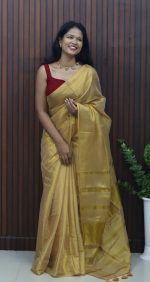 Golden Glow Tissue Mul Cotton Saree - Image 3
