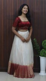 Elegant Organza Dhavani Set - Image 3