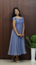 Dreamy Blue Butti Organza Casual Dress