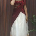 Elegant Organza Dhavani Set